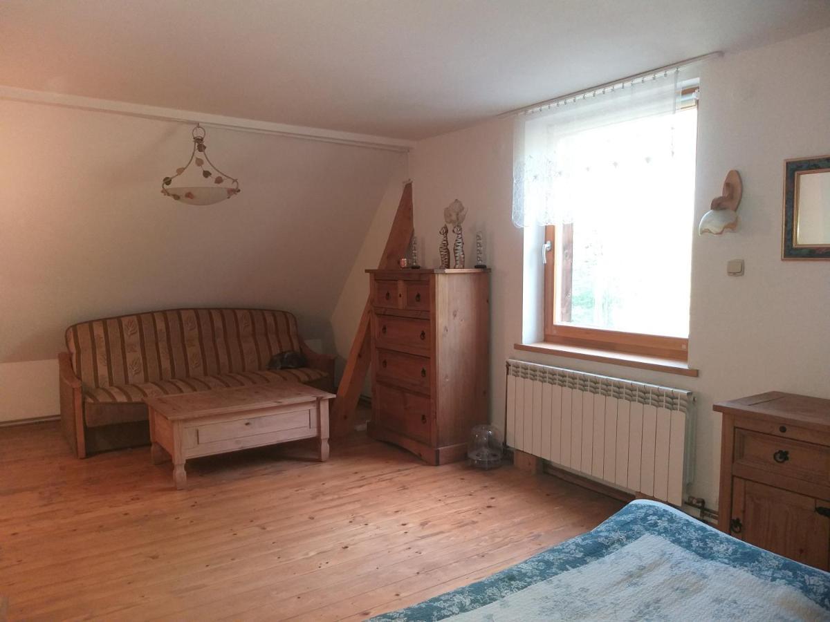 Ferienwohnung Salamandra Krempna Exterior foto