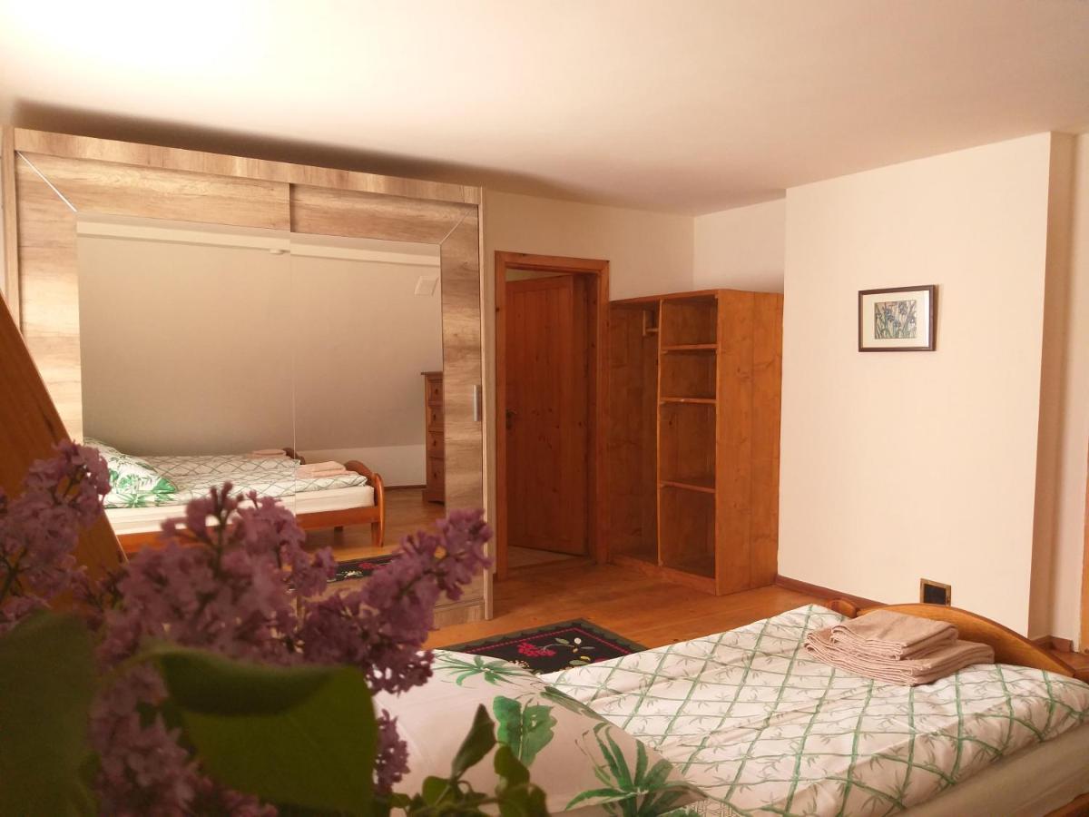 Ferienwohnung Salamandra Krempna Exterior foto